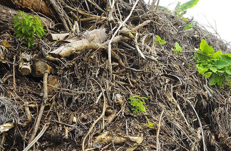 Green Waste